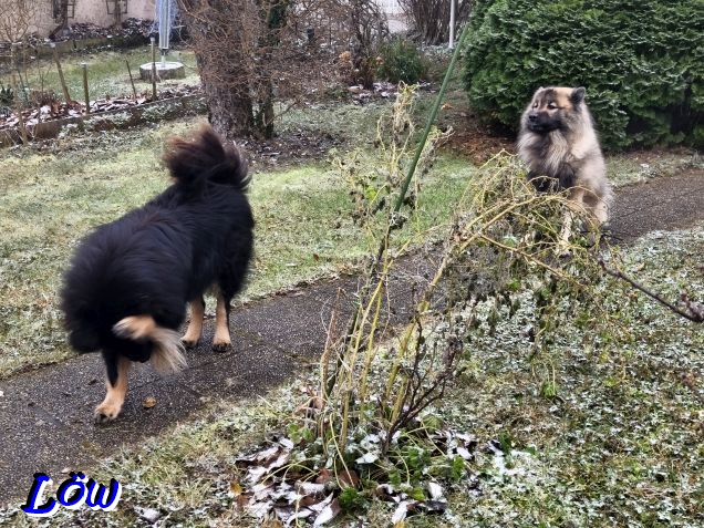 15.12.2025 - Schneeerkundung